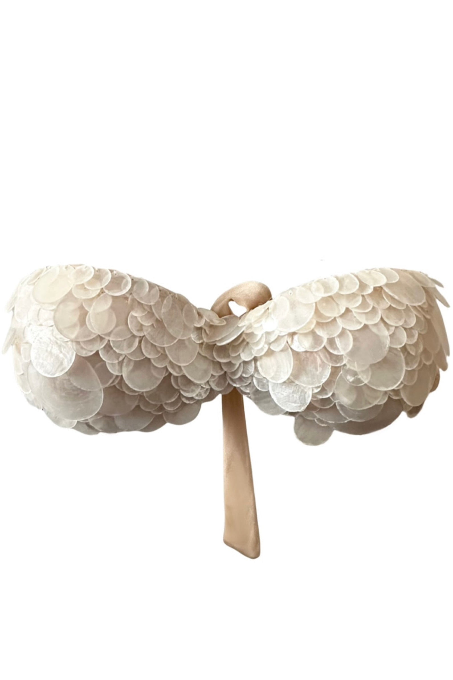 Mother of Pearl Bikini Top image 0